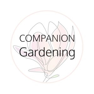Companion Garden Care