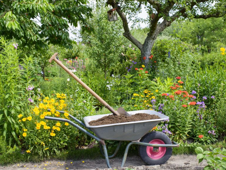 Hardy Hands Gardening