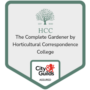City and Guilds Qualification